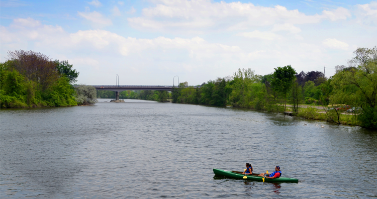 Your Summer Guide to Ann Arbor's City Parks, Mapped